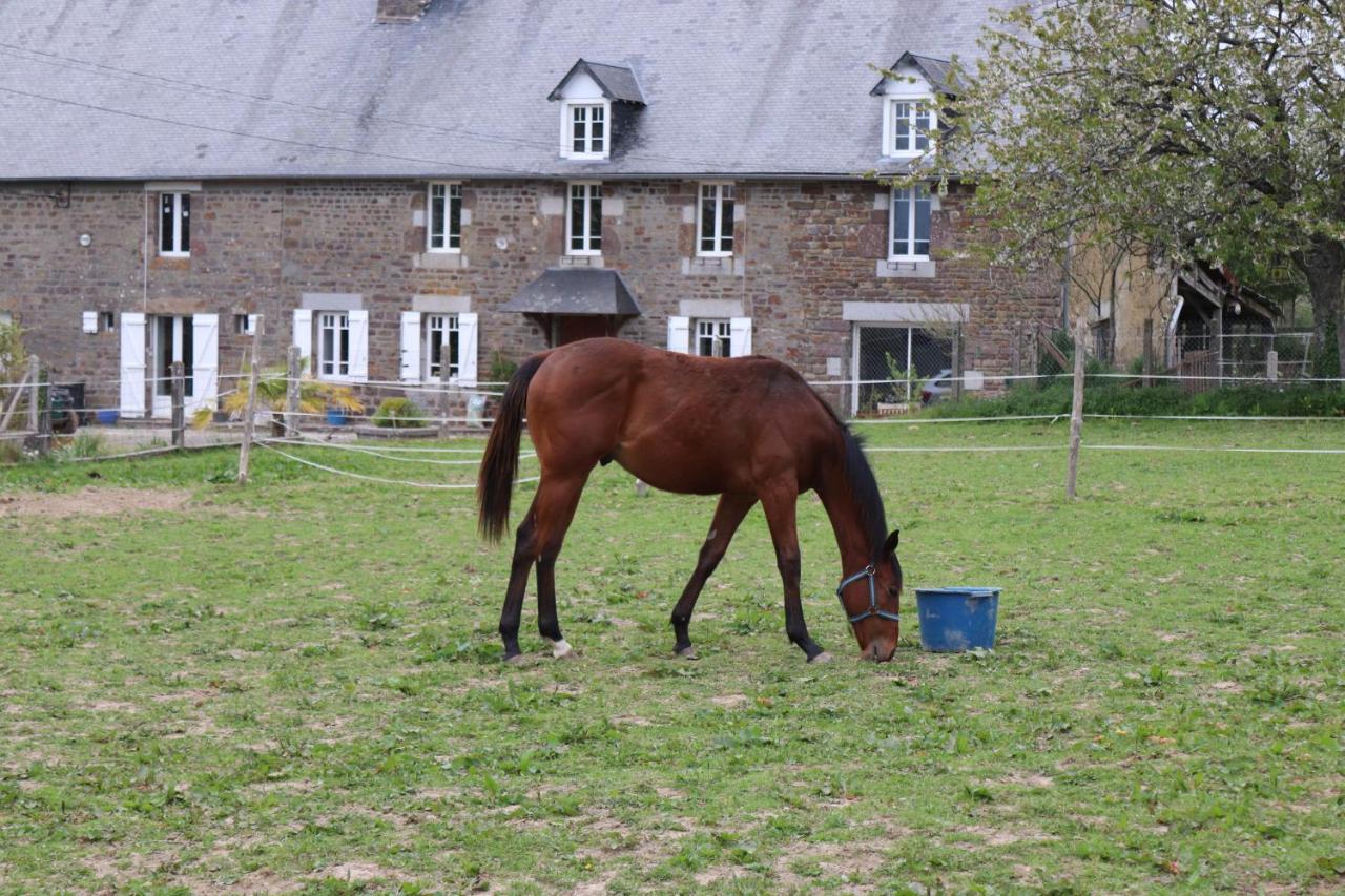 Decouverte D'Un Haras Proche Du Mont St Michel Hambye Экстерьер фото