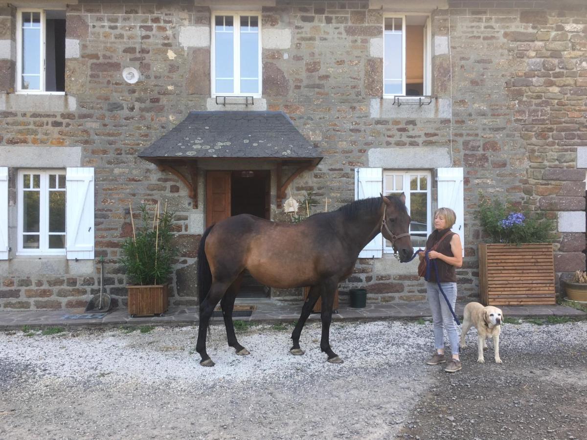 Decouverte D'Un Haras Proche Du Mont St Michel Hambye Экстерьер фото