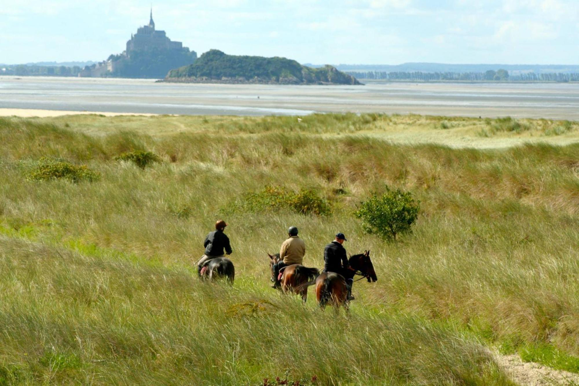 Decouverte D'Un Haras Proche Du Mont St Michel Hambye Экстерьер фото