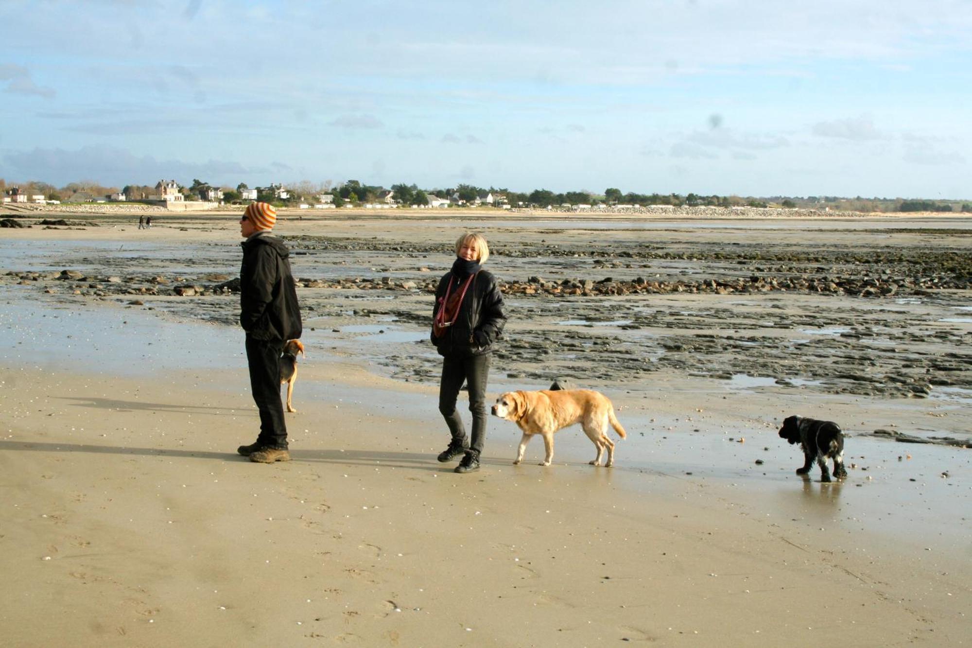 Decouverte D'Un Haras Proche Du Mont St Michel Hambye Экстерьер фото